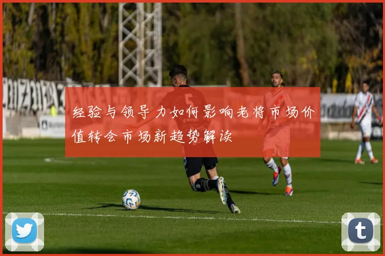 经验与领导力如何影响老将市场价值转会市场新趋势解读